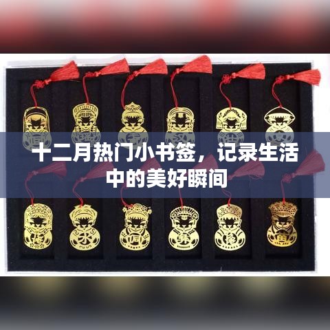 十二月热门小书签，记录美好瞬间