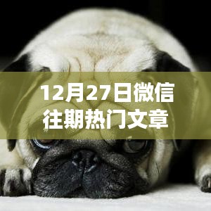 微信热门文章回顾，精选篇（12月27日）
