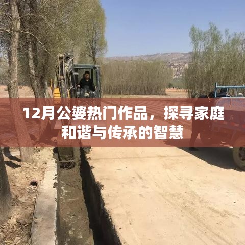12月公婆热门作品揭秘，家庭和谐与传承的智慧之道