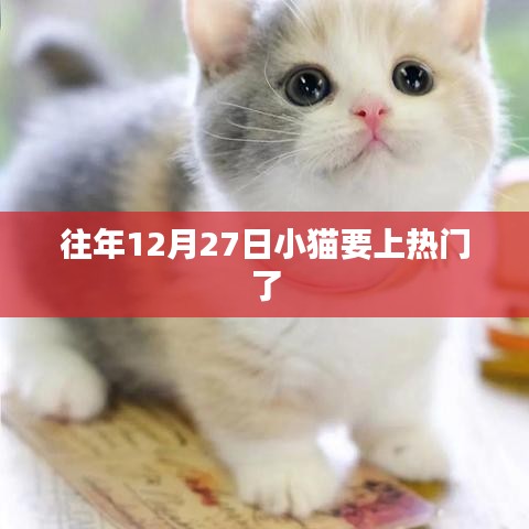 第943页