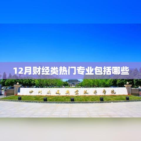 热门财经专业解读，12月财经类专业概览