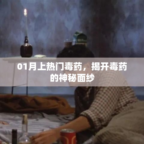萍水相逢 第2页