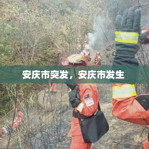 安庆市突发，安庆市发生 