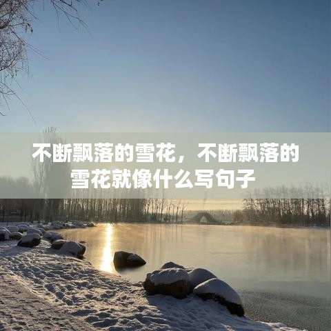 产品中心 第463页