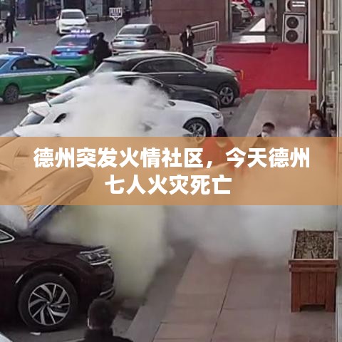 关于我们 第50页