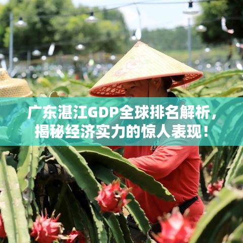 广东湛江GDP全球排名解析，揭秘经济实力的惊人表现！
