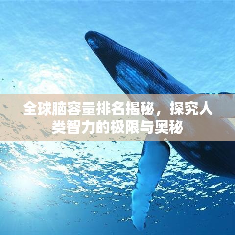 钗荆裙布 第2页