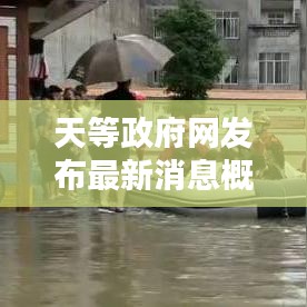 天等政府网发布最新消息概览