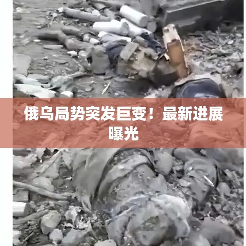 俄乌局势突发巨变！最新进展曝光