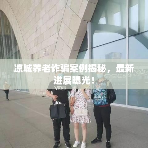 凉城养老诈骗案例揭秘，最新进展曝光！