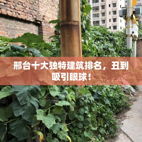 邢台十大独特建筑排名，丑到吸引眼球！