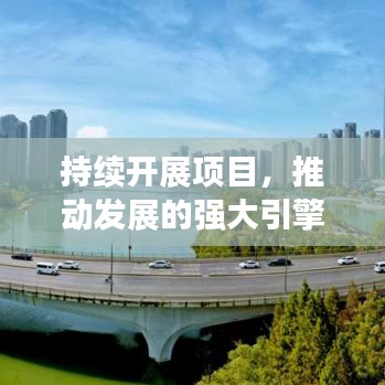 持续开展项目，推动发展的强大引擎