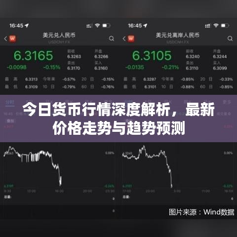今日货币行情深度解析，最新价格走势与趋势预测