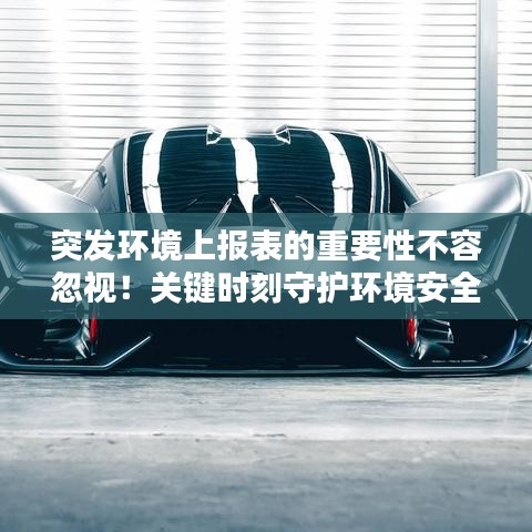 第455页