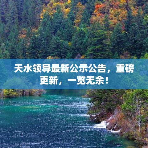 天水领导最新公示公告，重磅更新，一览无余！