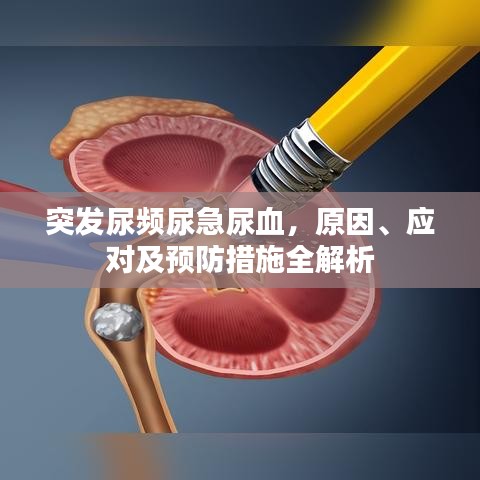 第452页