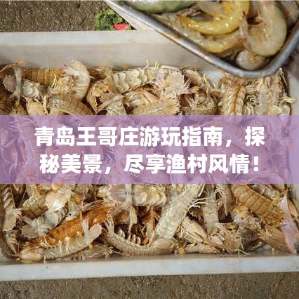 青岛王哥庄游玩指南，探秘美景，尽享渔村风情！