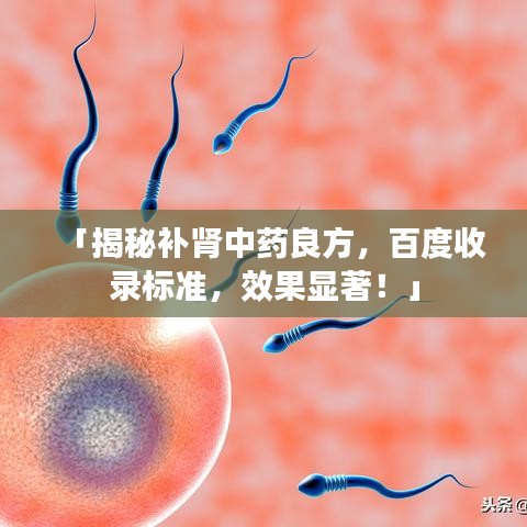 第448页