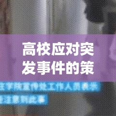 高校应对突发事件的策略与实践，实践指南与智慧应对