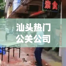 第445页