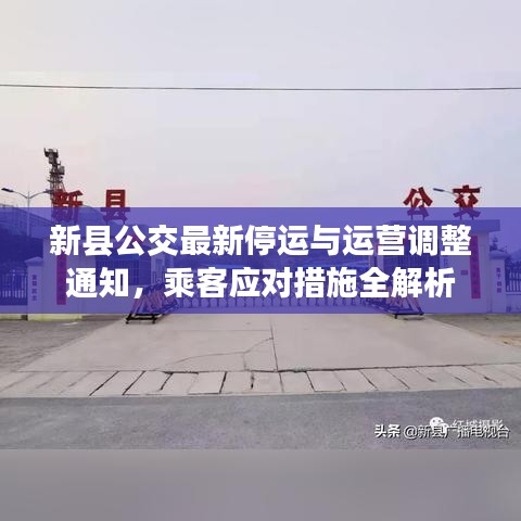 新县公交最新停运与运营调整通知，乘客应对措施全解析