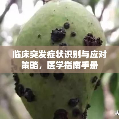 临床突发症状识别与应对策略，医学指南手册