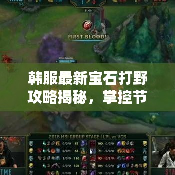 韩服最新宝石打野攻略揭秘，掌控节奏，成为决胜关键！