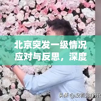 北京突发一级情况应对与反思，深度剖析学习经验