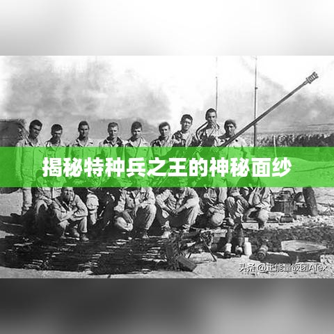揭秘特种兵之王的神秘面纱