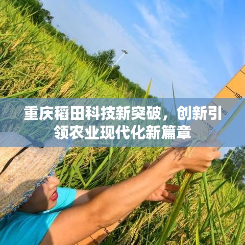 重庆稻田科技新突破，创新引领农业现代化新篇章