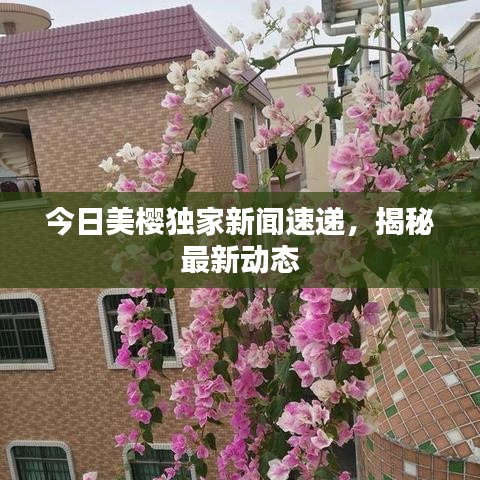 今日美樱独家新闻速递，揭秘最新动态