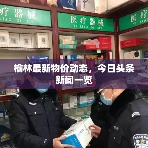 榆林最新物价动态，今日头条新闻一览
