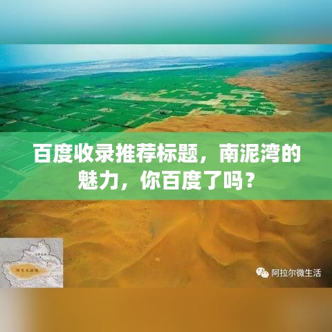 百度收录推荐标题，南泥湾的魅力，你百度了吗？