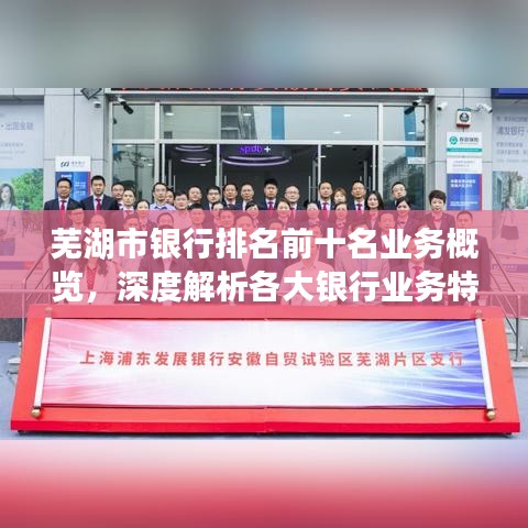 芜湖市银行排名前十名业务概览，深度解析各大银行业务特色与实力优势