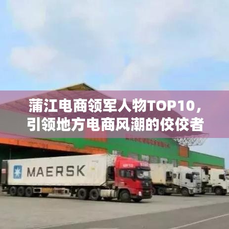 蒲江电商领军人物TOP10，引领地方电商风潮的佼佼者