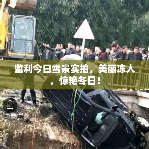 监利今日雪景实拍，美丽冻人，惊艳冬日！