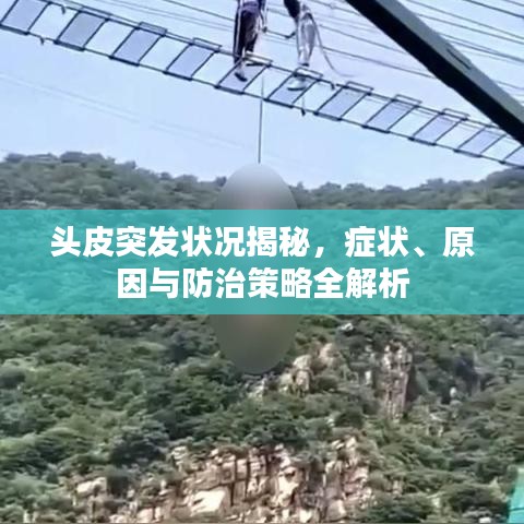 朴素无华 第2页