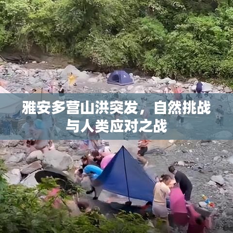 大口径钢管 第26页