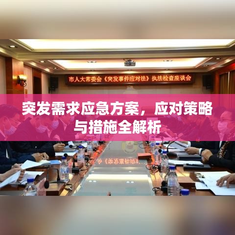 突发需求应急方案，应对策略与措施全解析
