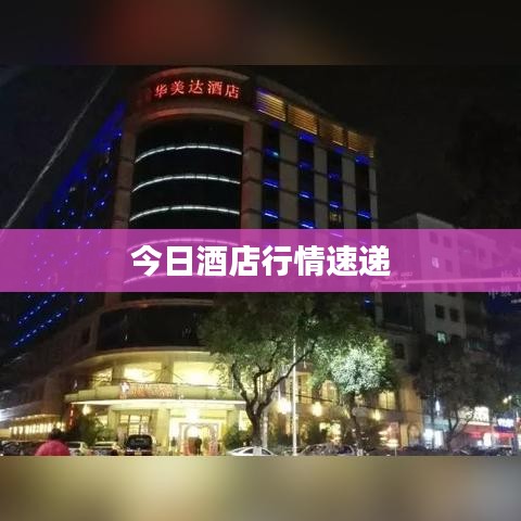 今日酒店行情速递