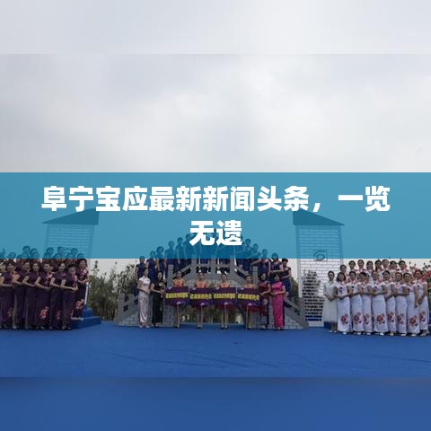 阜宁宝应最新新闻头条，一览无遗
