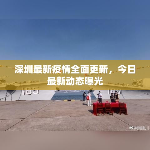 深圳最新疫情全面更新，今日最新动态曝光