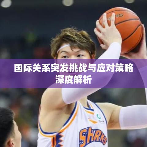 国际关系突发挑战与应对策略深度解析