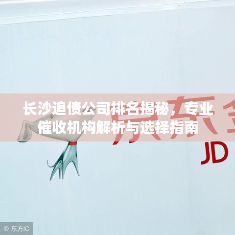 长沙追债公司排名揭秘，专业催收机构解析与选择指南