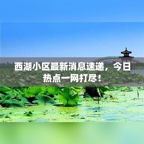西湖小区最新消息速递，今日热点一网打尽！