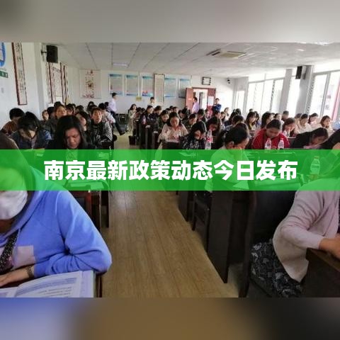 南京最新政策动态今日发布