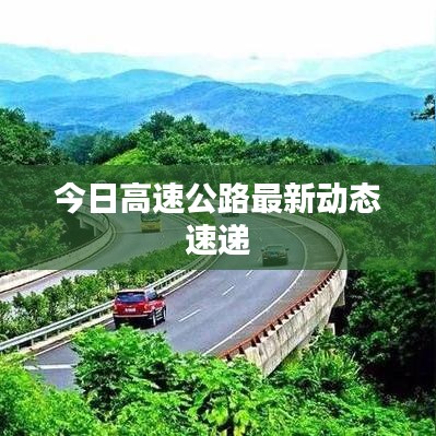 风驰电掣
