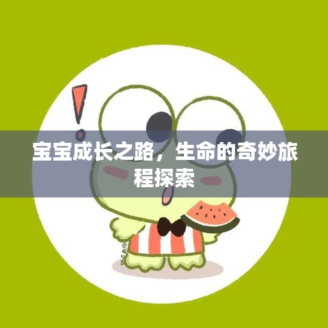 宝宝成长之路，生命的奇妙旅程探索