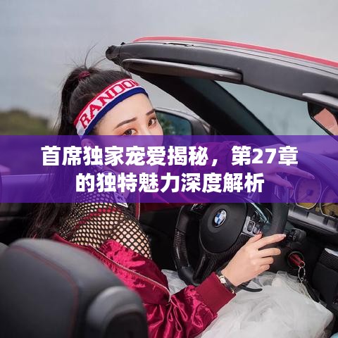首席独家宠爱揭秘，第27章的独特魅力深度解析