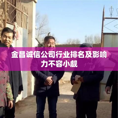 金昌诚信公司行业排名及影响力不容小觑